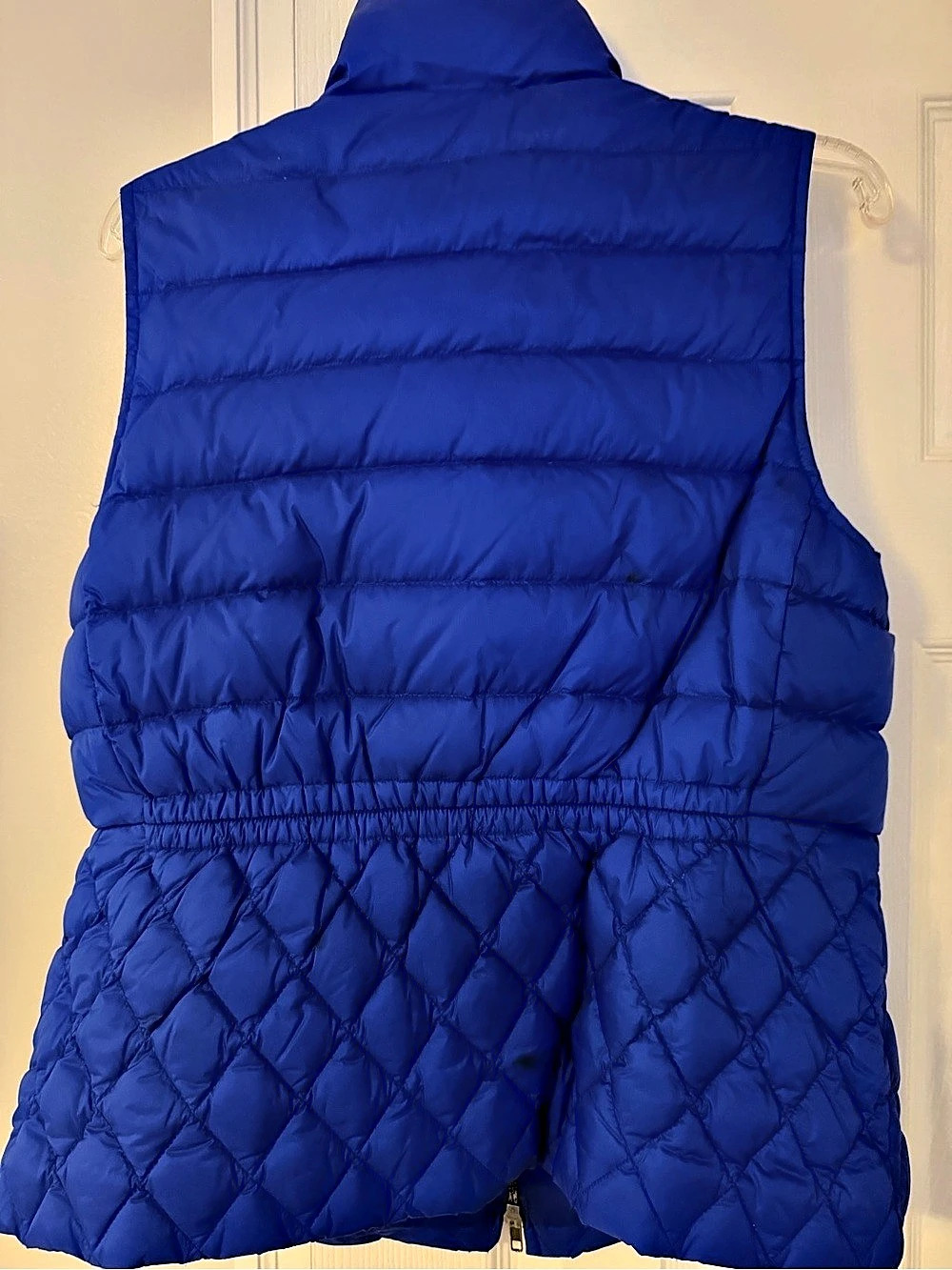 Talbots in Blue - Picture 3 of 6